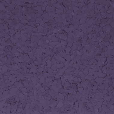 African Violet