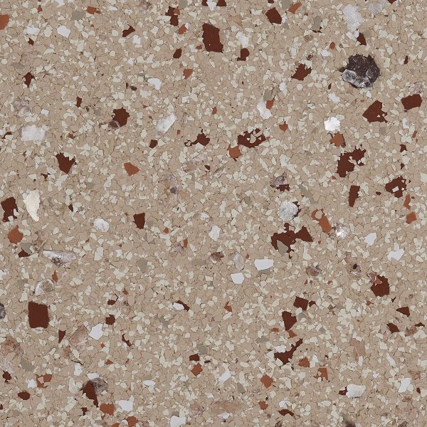 Ammonite Flake FB-5017